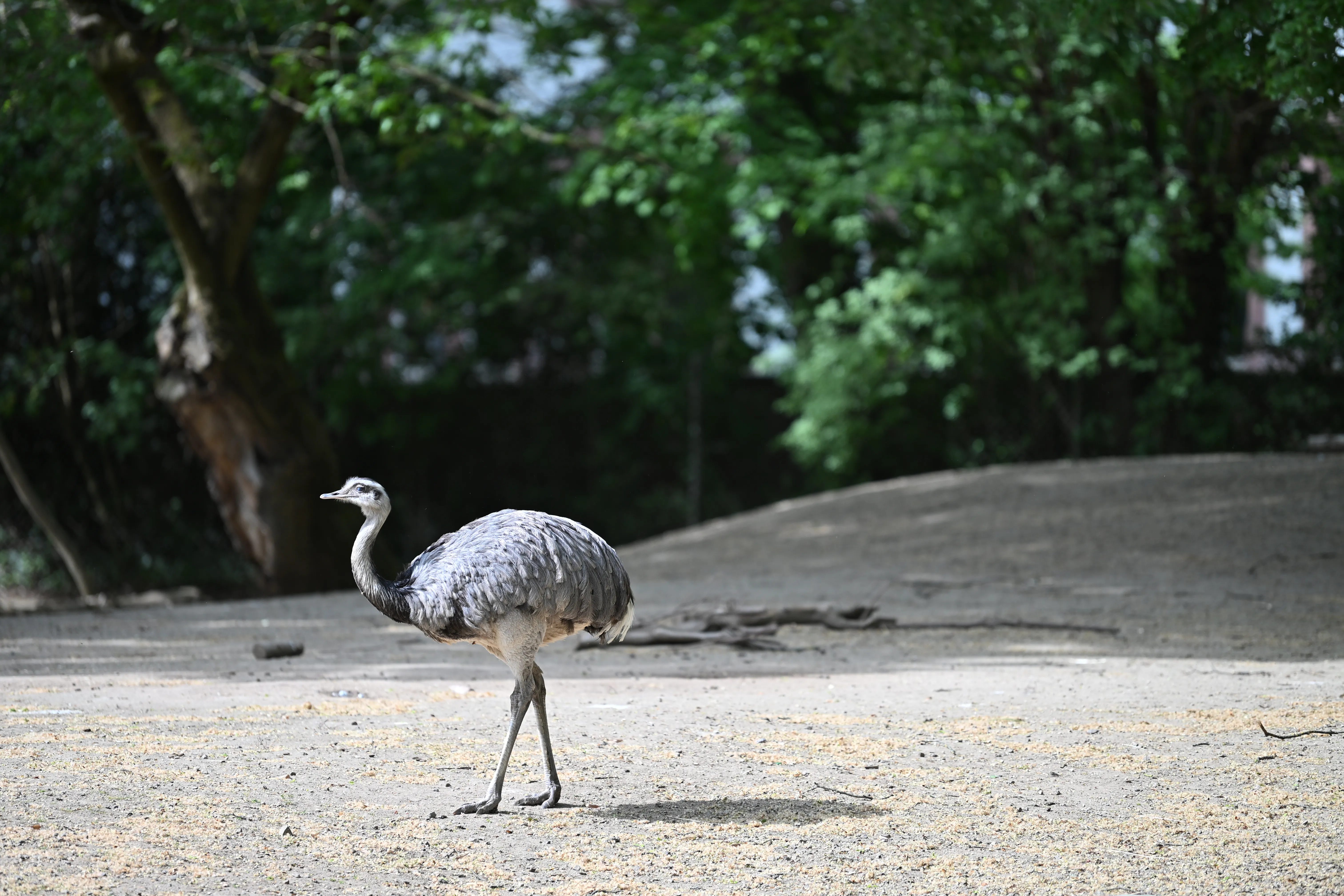 DSC_3827.jpg