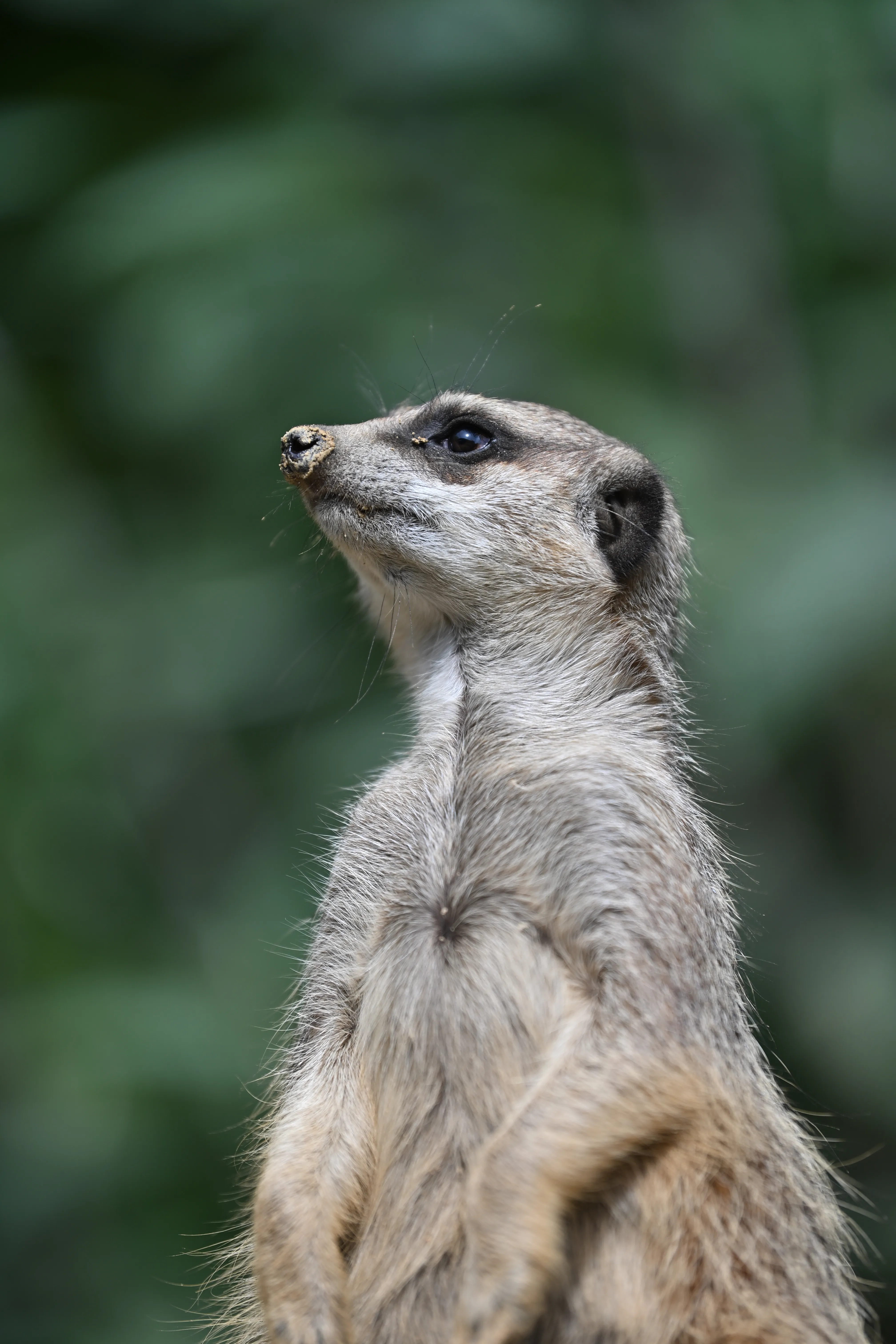 DSC_3965.jpg